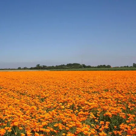 Сasa de vacaciones Huijsmans Verhuur Type A De Luxe Grevelingen 29
