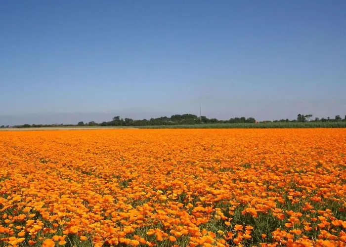 Tatil Evi Huijsmans Verhuur Type A De Luxe Grevelingen 29