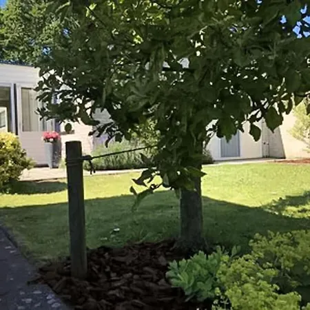 Дом отдыха Huijsmans Verhuur Type A De Luxe Grevelingen 29 Ауддорп