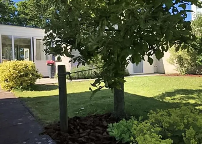 Дом отдыха Huijsmans Verhuur Type A De Luxe Grevelingen 29 Ауддорп